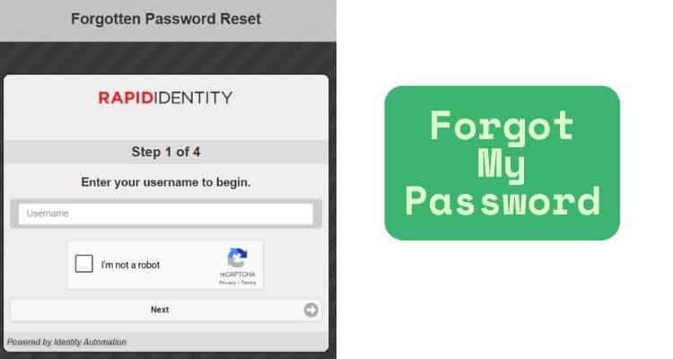 Forgot My Password